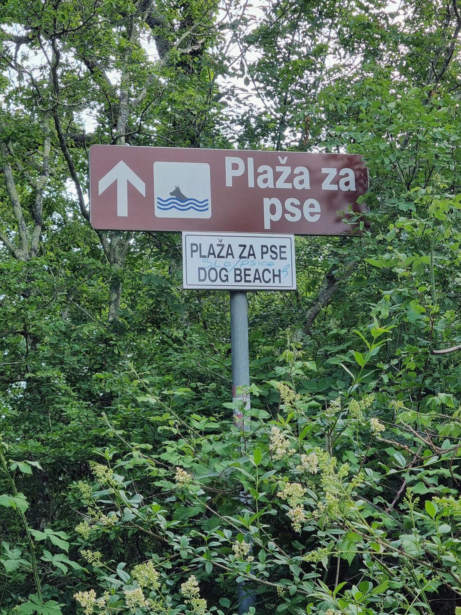 Apartment Sol Dolcevita Njivice Dış mekan fotoğraf